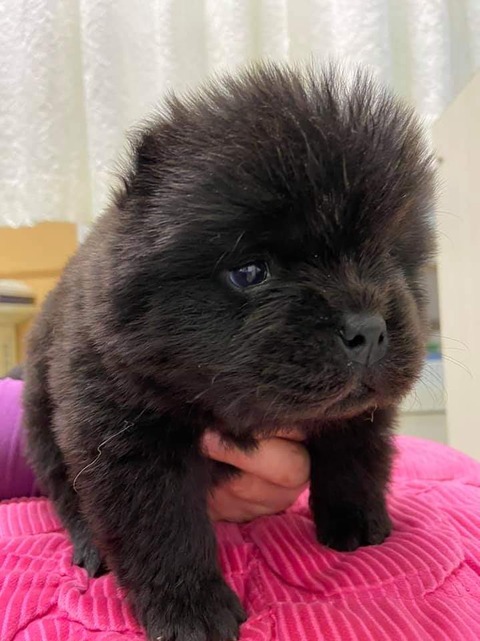 FB_IMG_1582240296565