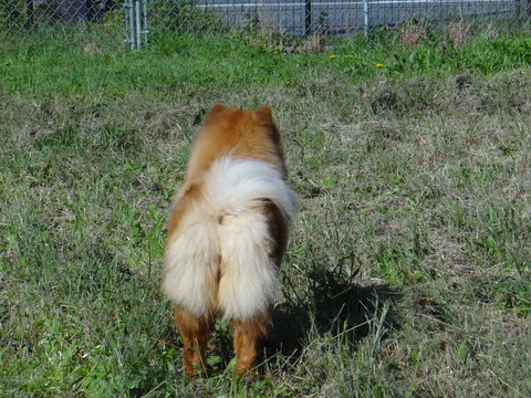 DSC08317