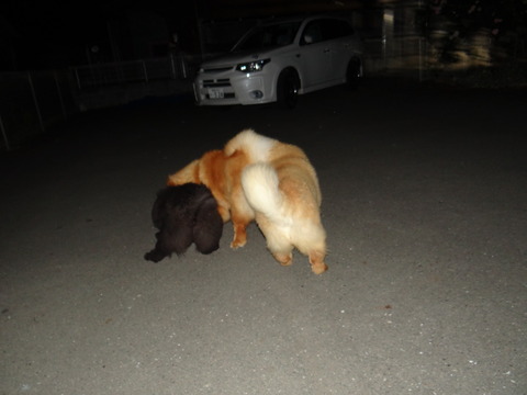 DSC07655