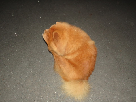 DSC07686