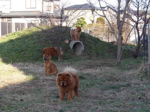 DSC07073