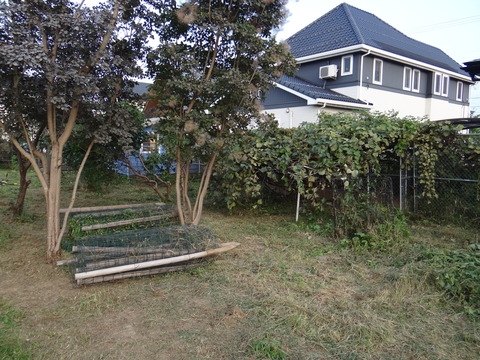 DSC08191