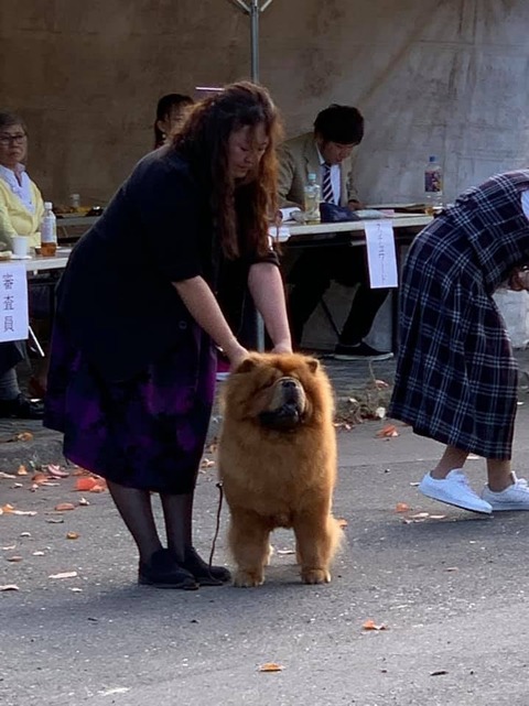 71022730_2708934279140647_8909811476894580736_n