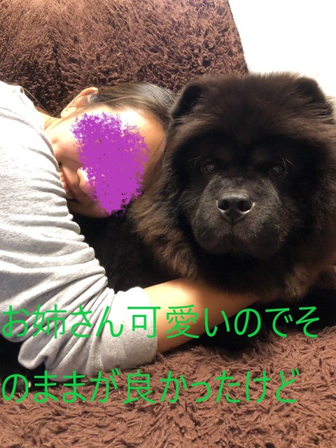 S__27459695