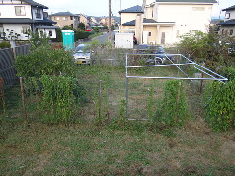 DSC08185