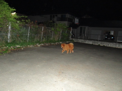 DSC08063