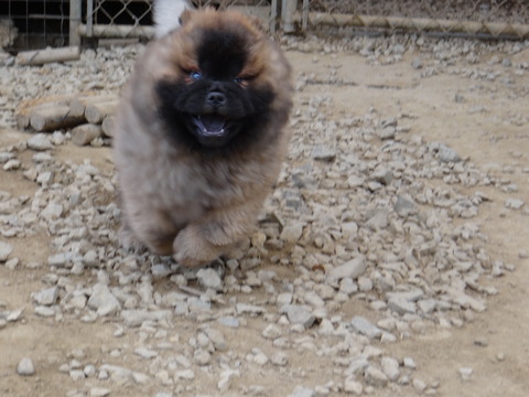 DSC07155