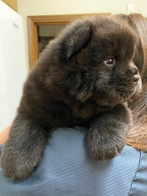 line_465227508083922