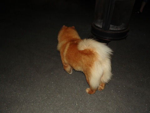 DSC08048