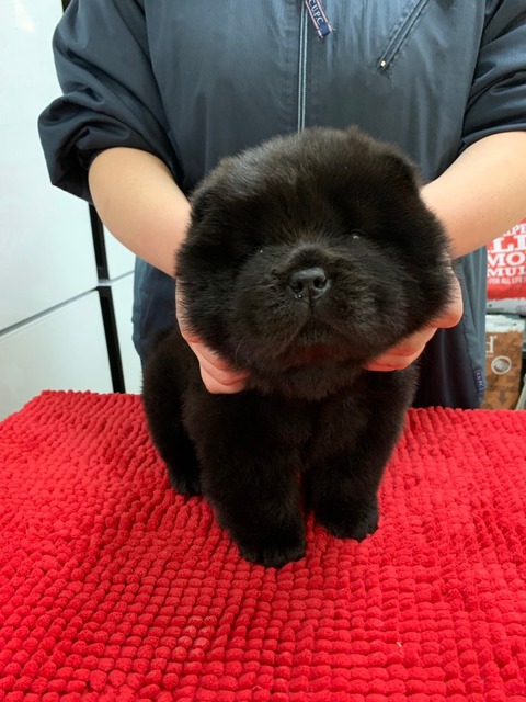 line_465241165229750