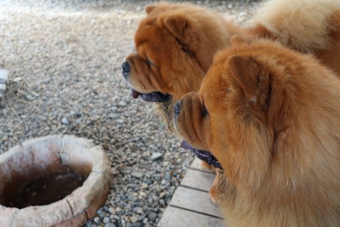 2020_27.07.07_200708