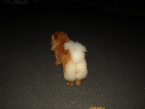 DSC07659