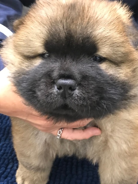 line_1811245970442052