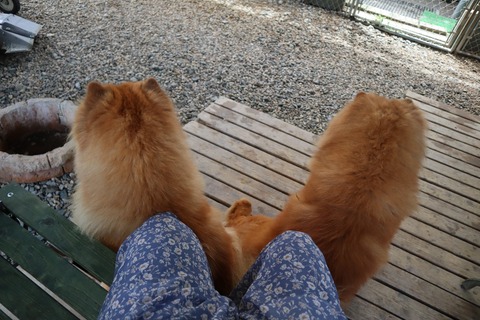 2020_29.07.07_200708