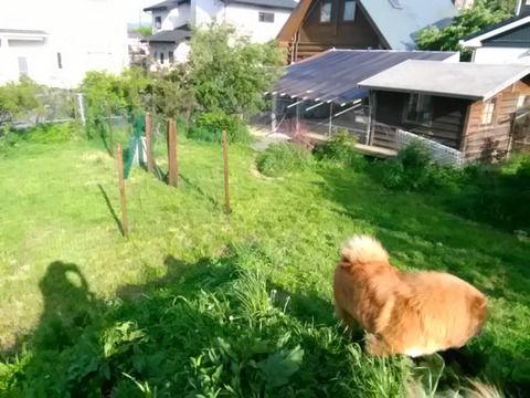 P_20190524_162755