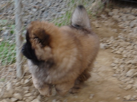 DSC07185