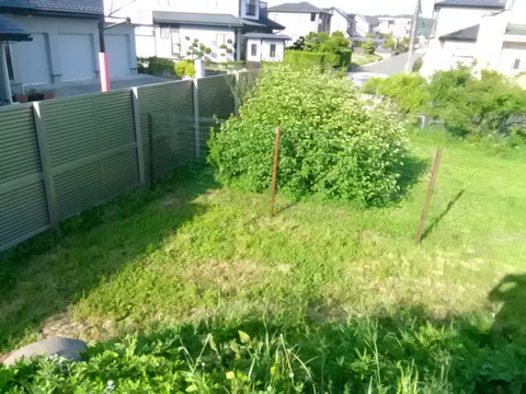 P_20190524_162800