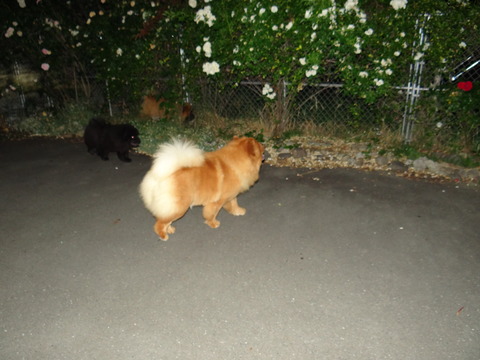 DSC07669