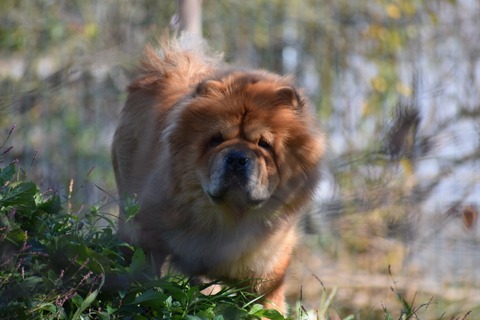 line_772605783987466