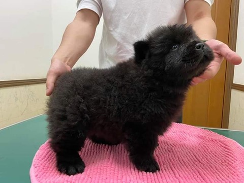 FB_IMG_1583157943139