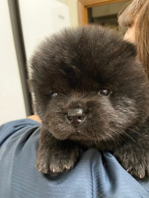 line_465218575216634