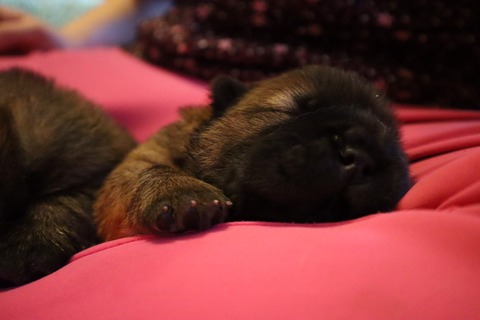 line_187408097219559