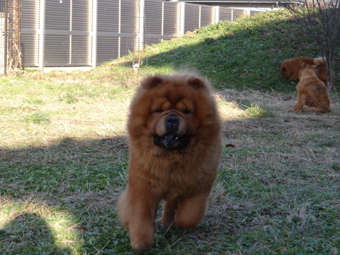 DSC07078