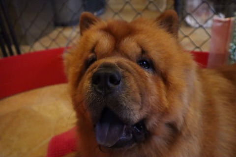 line_187427831333197