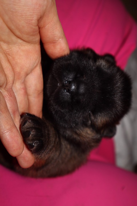 line_187527613603575