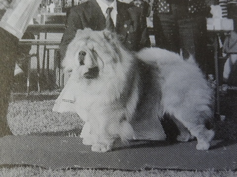 DSC07730