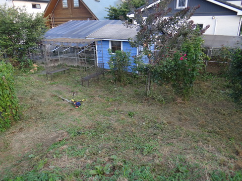 DSC08186