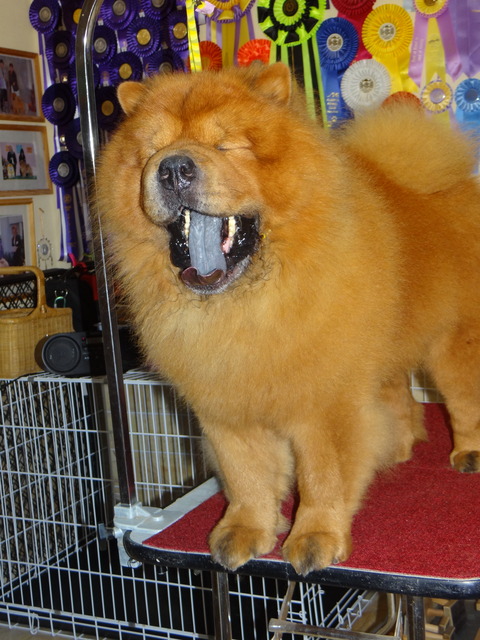 DSC07805