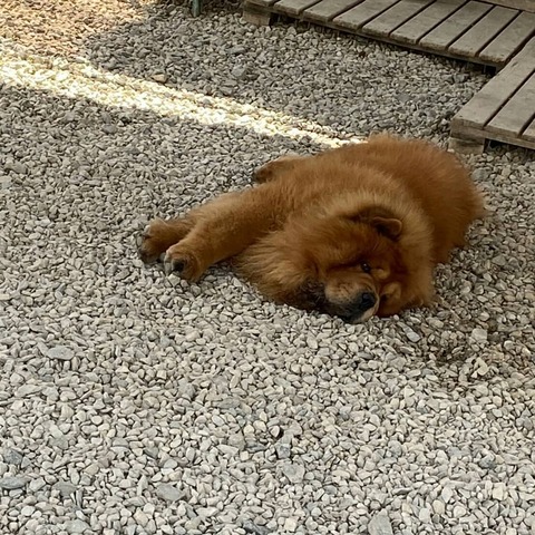 IMG_20200429_225349_507