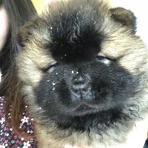 IMG_20191124_120250_700