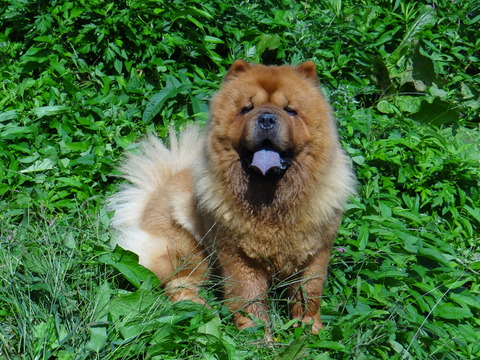 DSC08305