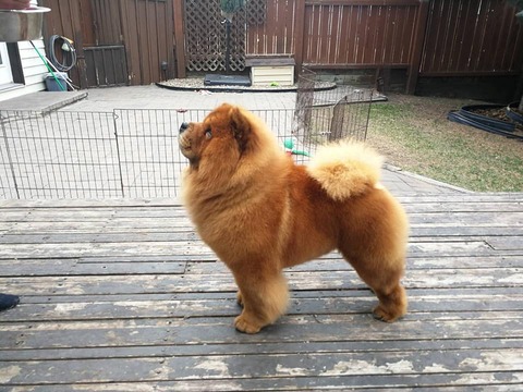 57503721_2397132590320819_5145218525362651136_n (1)