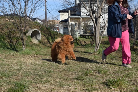 line_1201074947708998