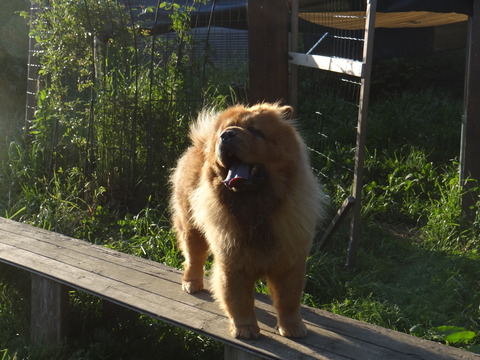 DSC07453