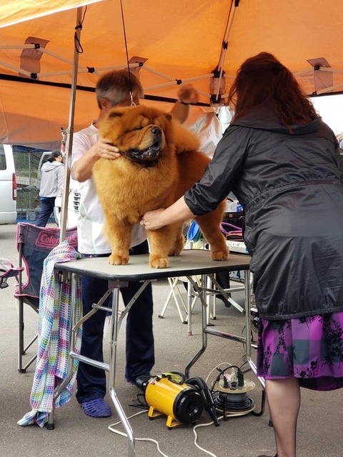 72466931_2708934285807313_8921880773083004928_n