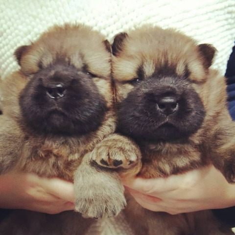 IMG_20201018_102609_956