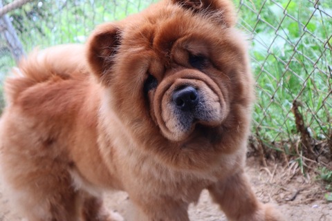 2020_14.07.08_200708