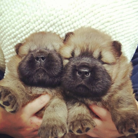 IMG_20201018_102609_944