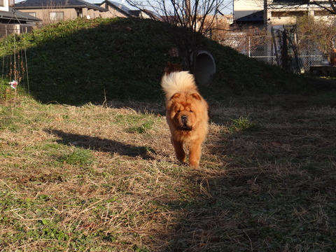 DSC07099