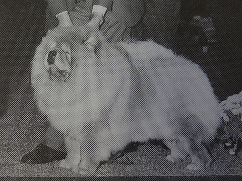 DSC07726