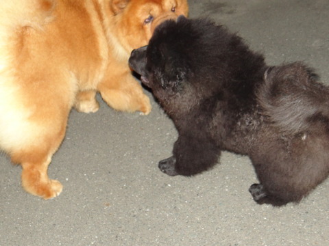 DSC07648