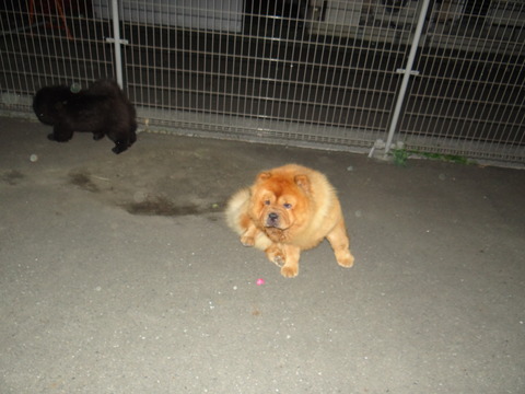 DSC07660