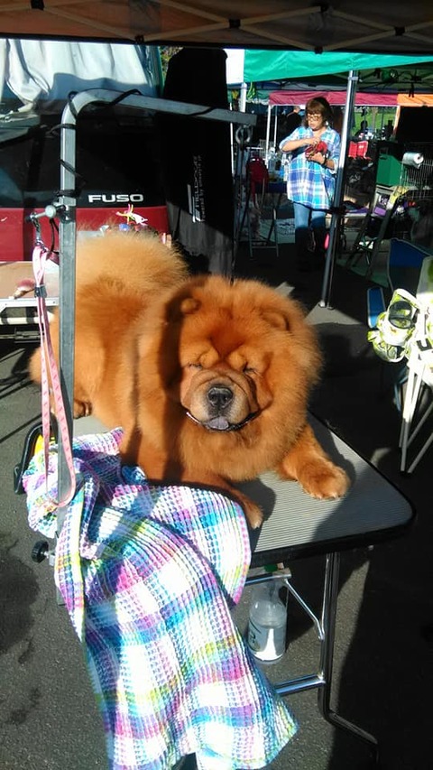 71037011_2704018956298846_7607137291743526912_n