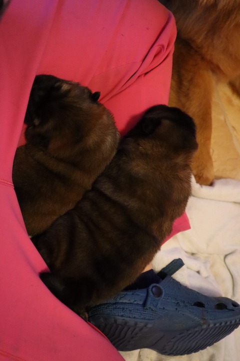 line_187366710306398