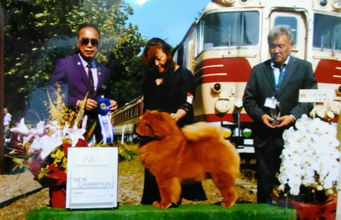 71496470_2723599134340828_5010800853750120448_n