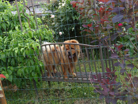 DSC06013